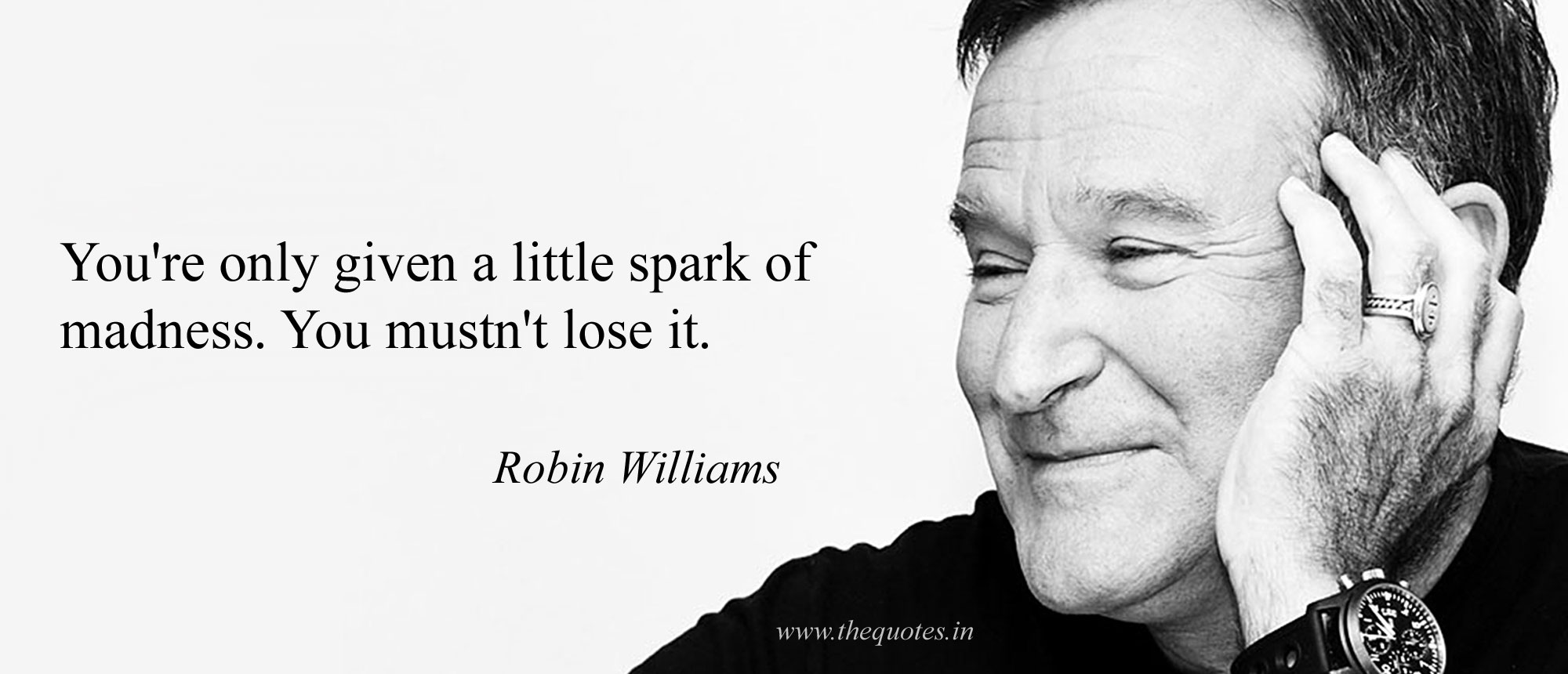 Robin Williams – little spark of madness