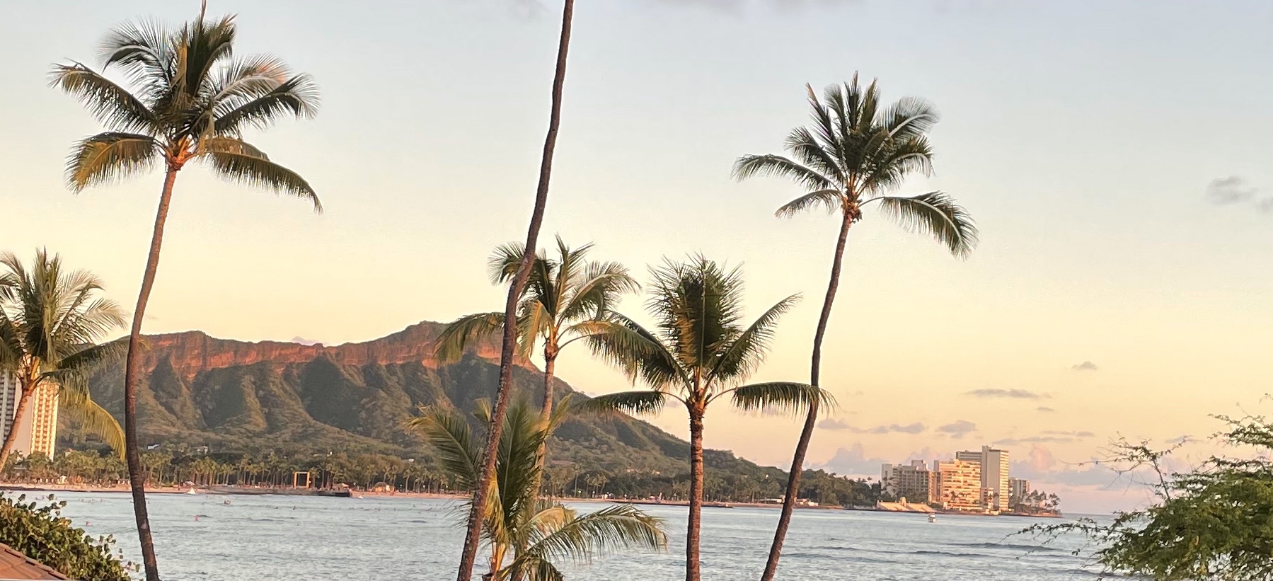 What to do in Oahu?